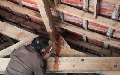 Réparation de fuite de toiture : que faire en urgence ?